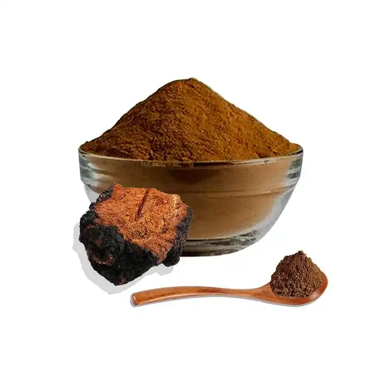 Factory Supply Organic Chaga Mushroom Powder